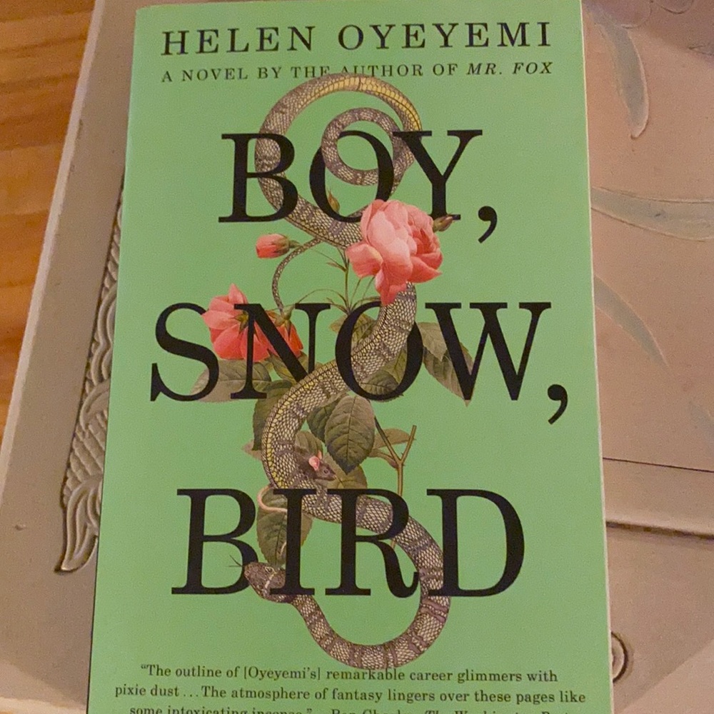 Paperback novel Boy, Snow, Bird by Helen Oyeyemi